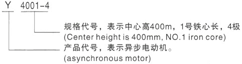 西安泰富西玛Y系列(H355-1000)高压YJTG-315L2-2A/200KW三相异步电机型号说明