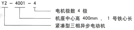 YR系列(H355-1000)高压YJTG-315L2-2A/200KW三相异步电机西安西玛电机型号说明